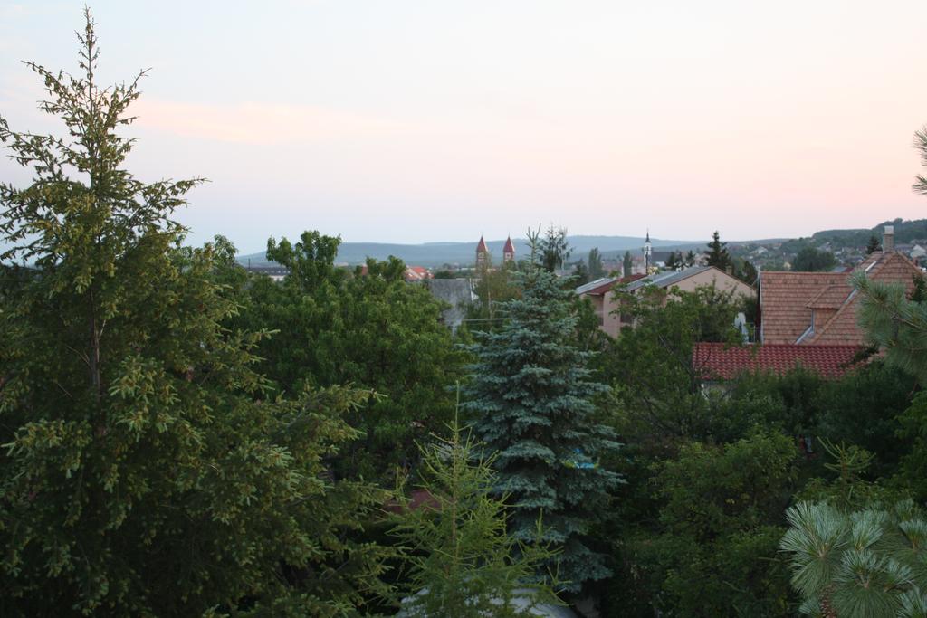 Barcza Vendégház Balatonfüred Extérieur photo